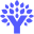 YNAB logo