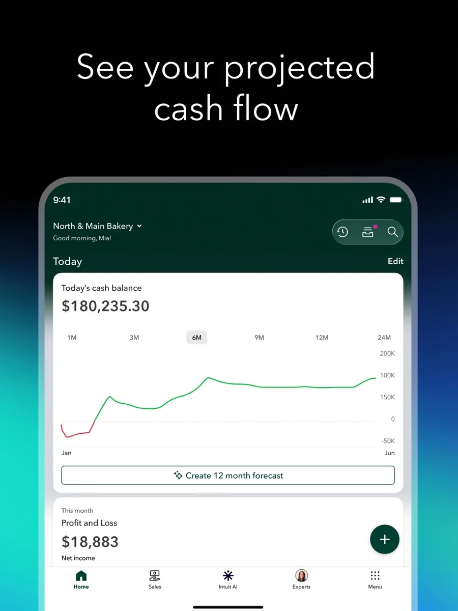 A screen from the QuickBooks app, as published on its App Store listing