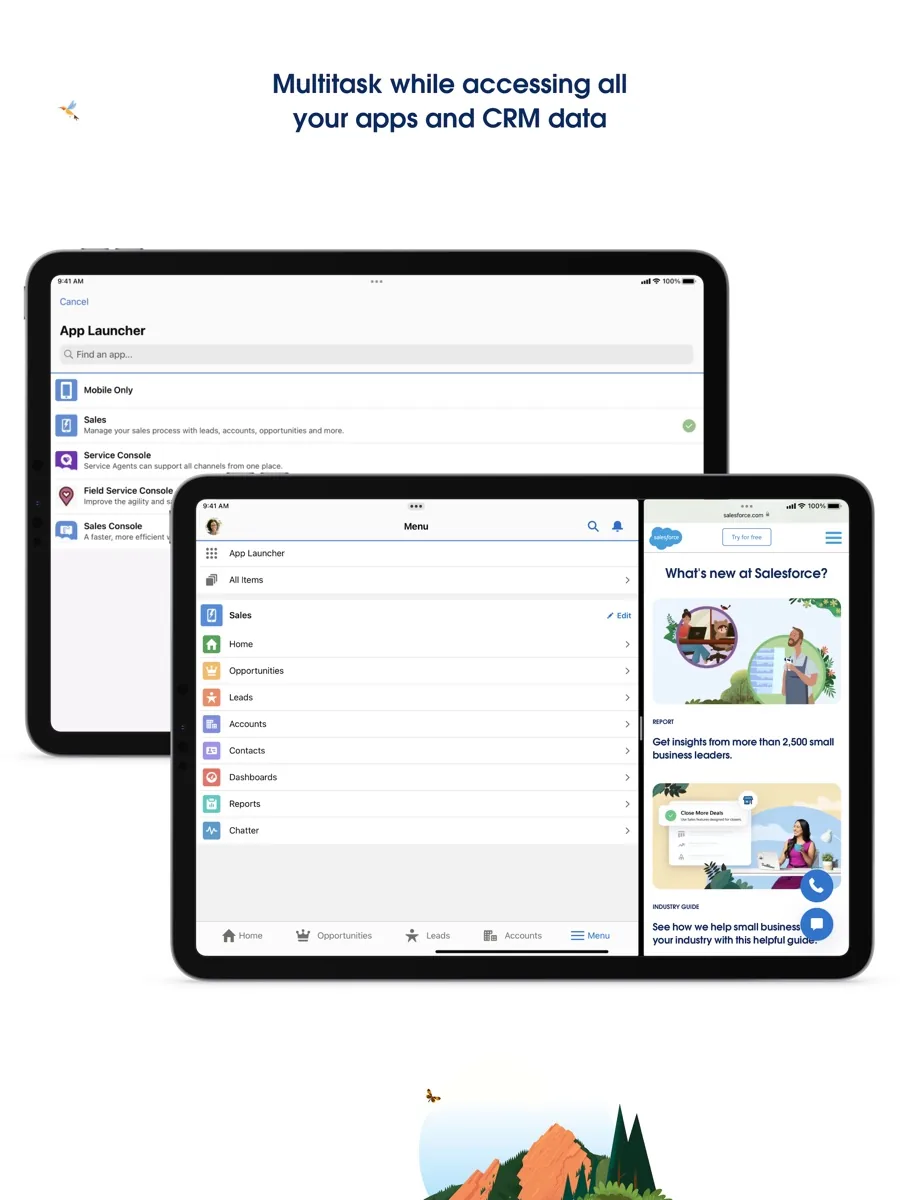 A screen from the Salesforce app, as published on its App Store listing